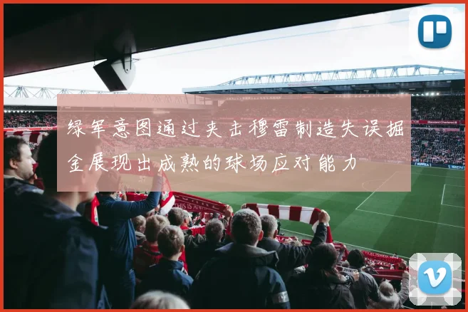 绿军意图通过夹击穆雷制造失误掘金展现出成熟的球场应对能力