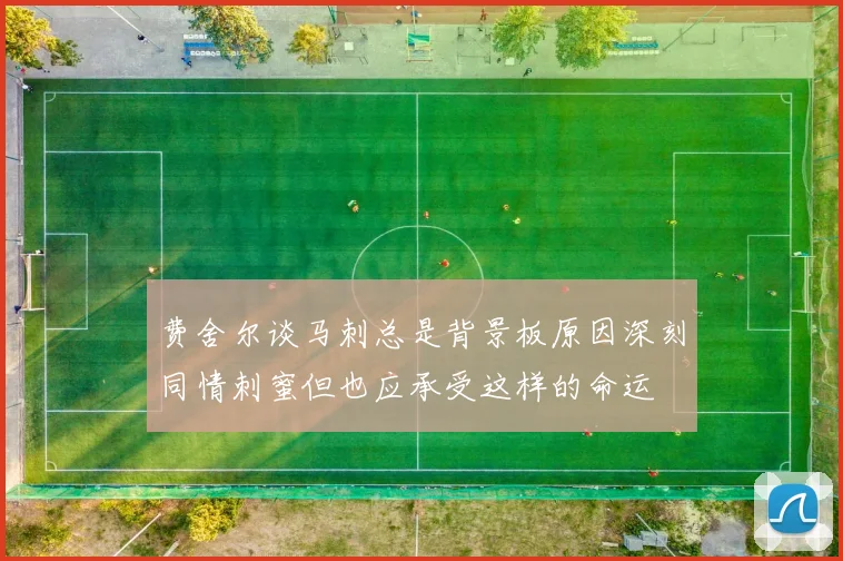 费舍尔谈马刺总是背景板原因深刻同情刺蜜但也应承受这样的命运