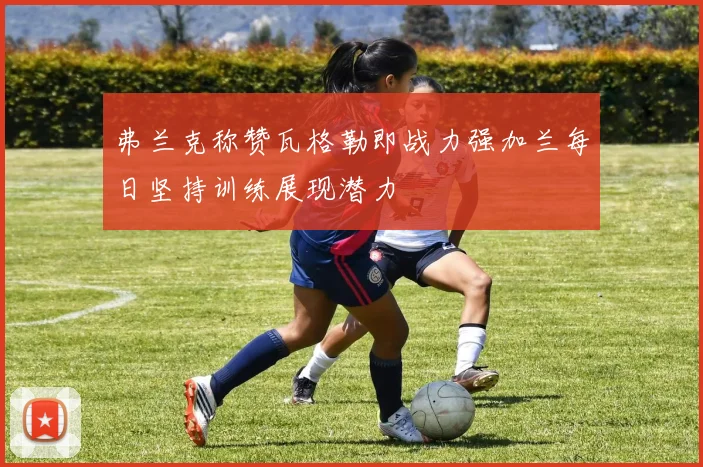 弗兰克称赞瓦格勒即战力强加兰每日坚持训练展现潜力